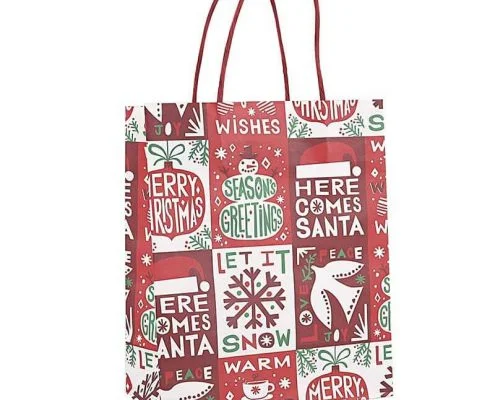 Holiday Valentines Christmas Paper Bags (4)