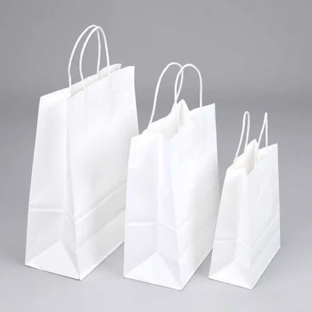 White Kraft Paper Bags Wholesale Factory (1)