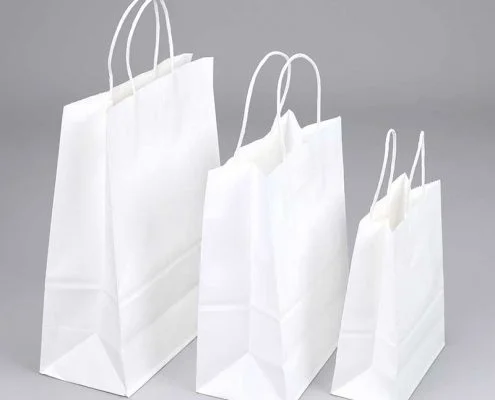 White Kraft Paper Bags Wholesale Factory (1)